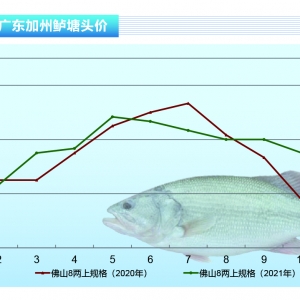 �����|�����ش��M���~���\����Ҏ���~���Ρ�����ˮ�aǰ�ء�2021��12�¿��Ј�څ��