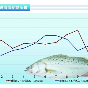 ���|������Ӱ��N�����r���Է�(w��n)������������ˮ�a(ch��n)ǰ�ء�2021��12�¿��Ј�څ��