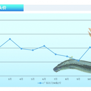 ���q����q��С�����¡�����ˮ�aǰ�ء�2021��12�¿��Ј�څ��