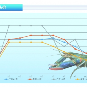 ���޵�ˮ���r��һ�±���20Ԫ������ˮ�aǰ�ء�2021��12�¿��Ј�څ��