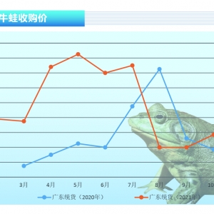 ţ�ܣ�������С�����鷴�ͣ��r����������������ˮ�aǰ�ء�2021��12�¿��Ј�څ��