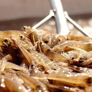 �r�����f��ͦ��ȫ����K���B�r���������ɈD��