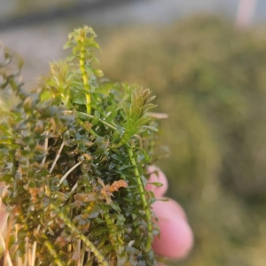 ��з��߳ɻ�����Ҫ�������_ʼ