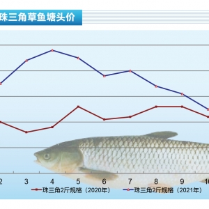 ���~���������~���M���ӝq�r�Լ����~���\������ˮ�a(ch��n)ǰ�ء�2022��1�¿��Ј�څ��