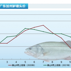 �����|��ȫ��ȱ���~���V�|؛��������Ј�������ˮ�aǰ�ء�2022��1�¿��Ј�څ��