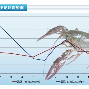 С���r��������r������ã����r����Ҳ�������ˮ�aǰ�ء�2022��1�¿��Ј�څ��