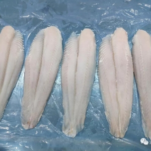 �_���һ�q����ɳ�~�F؛���漱��