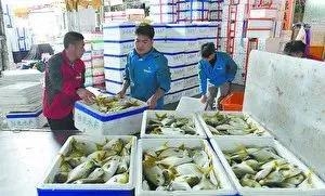 �����~�r���ݣ����K�~�ٝq0.4Ԫ/��