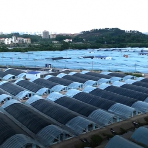 ���r�r��2-3Ԫ/����a���գ�С���r������ô��ռ�șC��