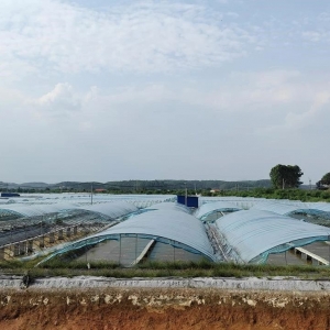 �V�����A�ϵ�һ��С���r���{ʲô��