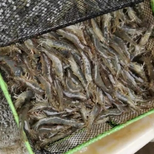 �u(m��i)��31Ԫ�ĺÃr(ji��)�X(qi��n)���@�l�r��߀���@�N�������