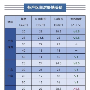 ��ߝq2Ԫ/����ȱ�r���r�е�̎���r...�V�|�s픲�סȫ���»�