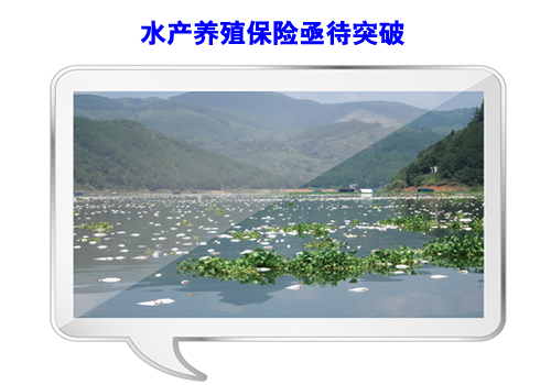 ˮ�a(ch��n)�B(y��ng)ֳ���U(xi��n)ؽ��ͻ��