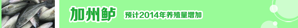 2014ˮ�a�N�紺��ُ�Nָ��