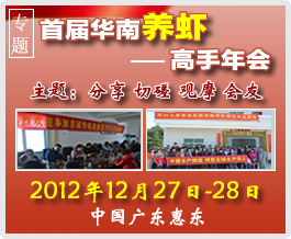 �׌��A���B�r����������}���