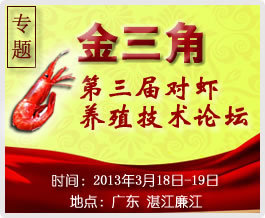 �����ǵ����Ì��r�Bֳ���gՓ��